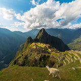 Peru - Trent Allen Gourmet Coffee