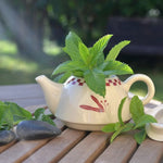 Peppermint Herbal Tea ( Pack of 2) - Trent Allen Gourmet Coffee