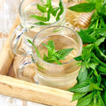 Peppermint Herbal Tea ( Pack of 2) - Trent Allen Gourmet Coffee