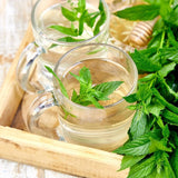 Peppermint Herbal Tea ( Pack of 2) - Trent Allen Gourmet Coffee