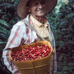 Costa Rica - Trent Allen Gourmet Coffee