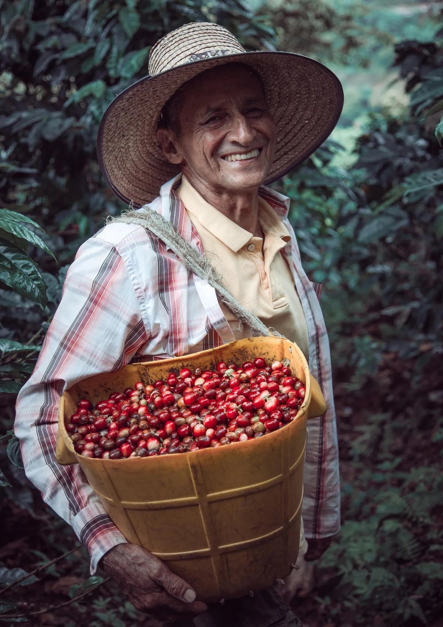 Costa Rica - Trent Allen Gourmet Coffee