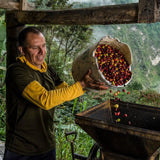 Mexico - Trent Allen Gourmet Coffee