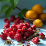 Artisan Hibiscus Berry Rooibos Tea (Loose Leaf) 12pk - Trent Allen Gourmet Coffee