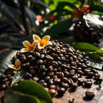 Papua New Guinea - Trent Allen Gourmet Coffee