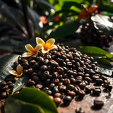 Papua New Guinea - Trent Allen Gourmet Coffee
