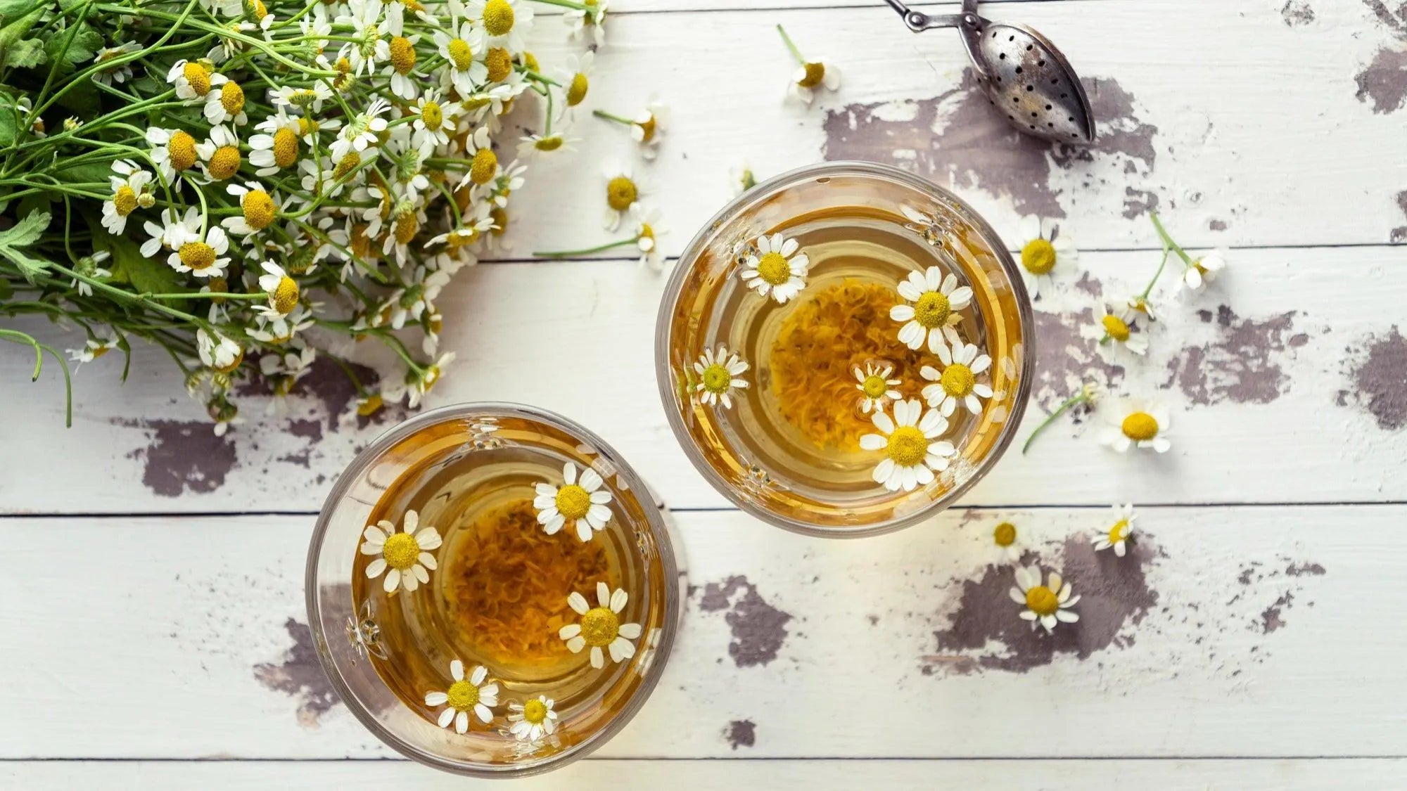 Egyptian Chamomile Tea (Pack of 2) - Trent Allen Gourmet Coffee
