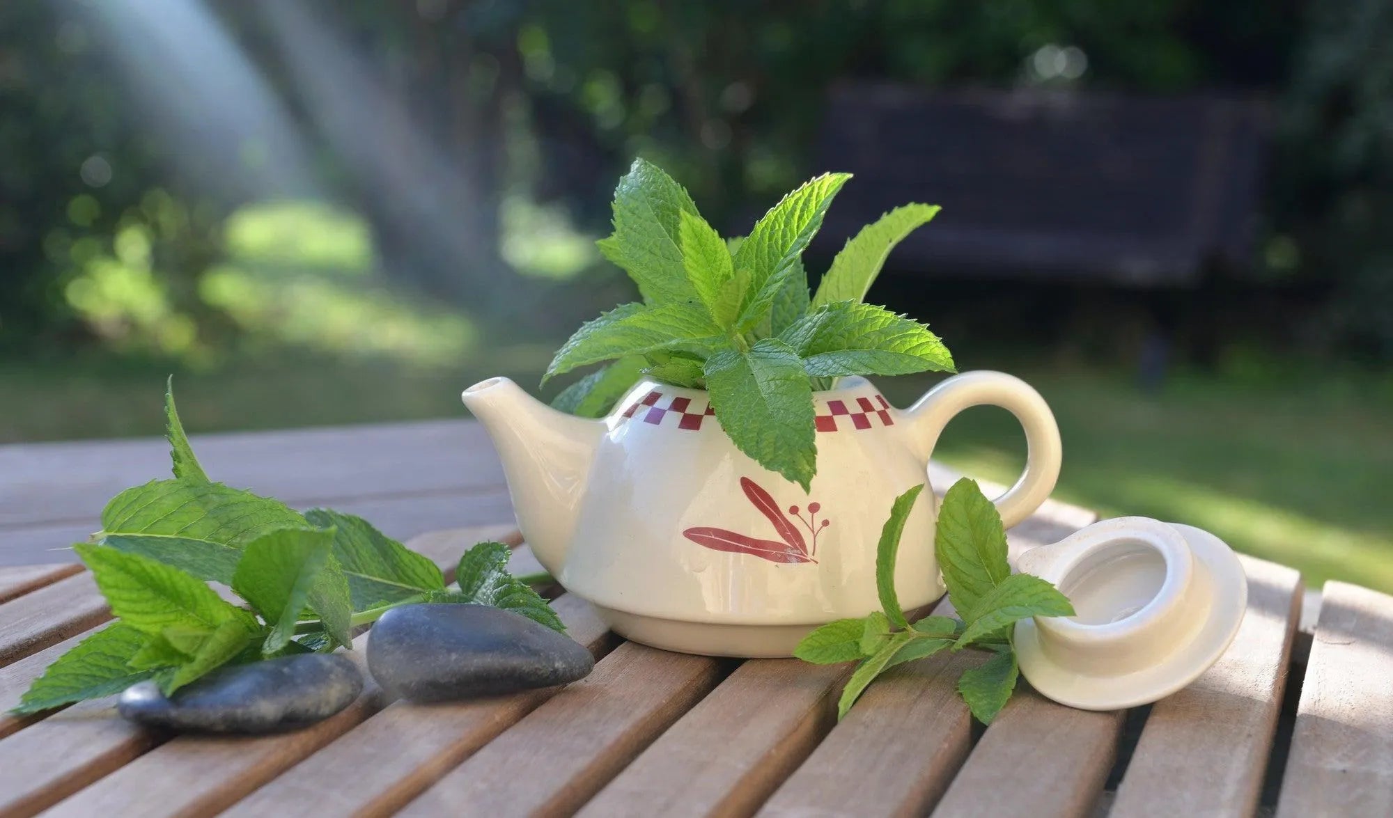 Peppermint Herbal Tea ( Pack of 2) - Trent Allen Gourmet Coffee
